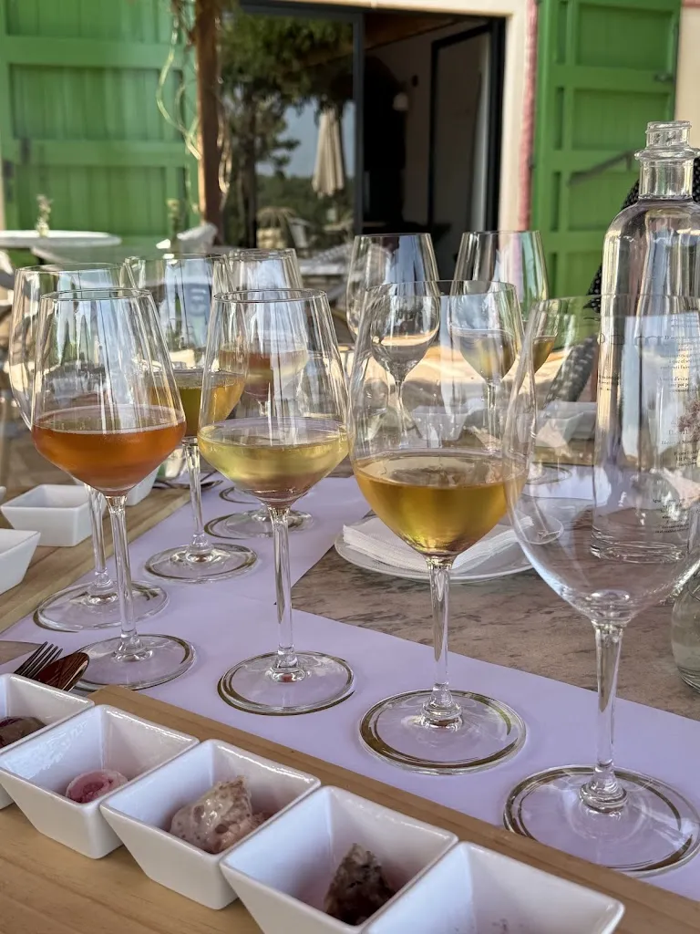 jonas herzer_MontRubí_Font-rubí_review