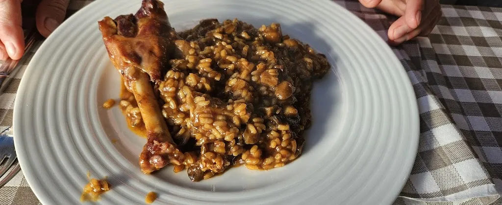 Gerard Según Mercader_Can Güell_Font-rubí_review