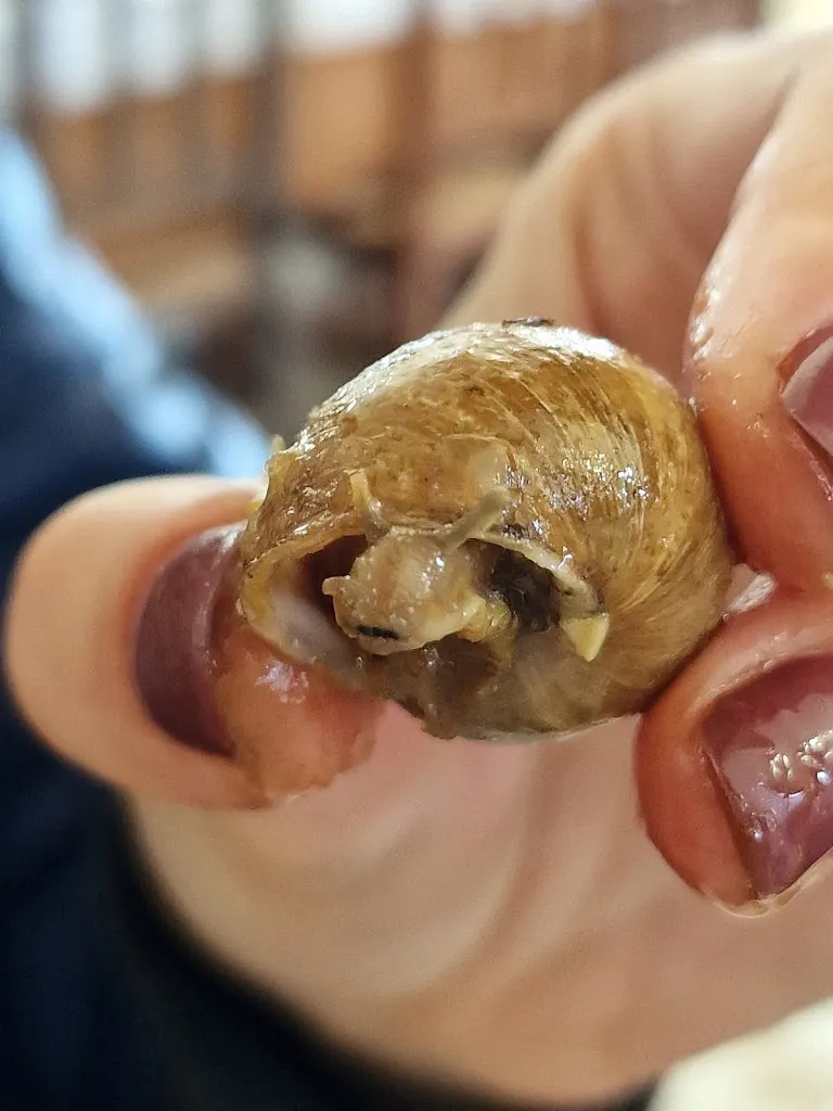 Harry_Restaurant Can Net, Mosqueroles_Fogars de Montclús_review