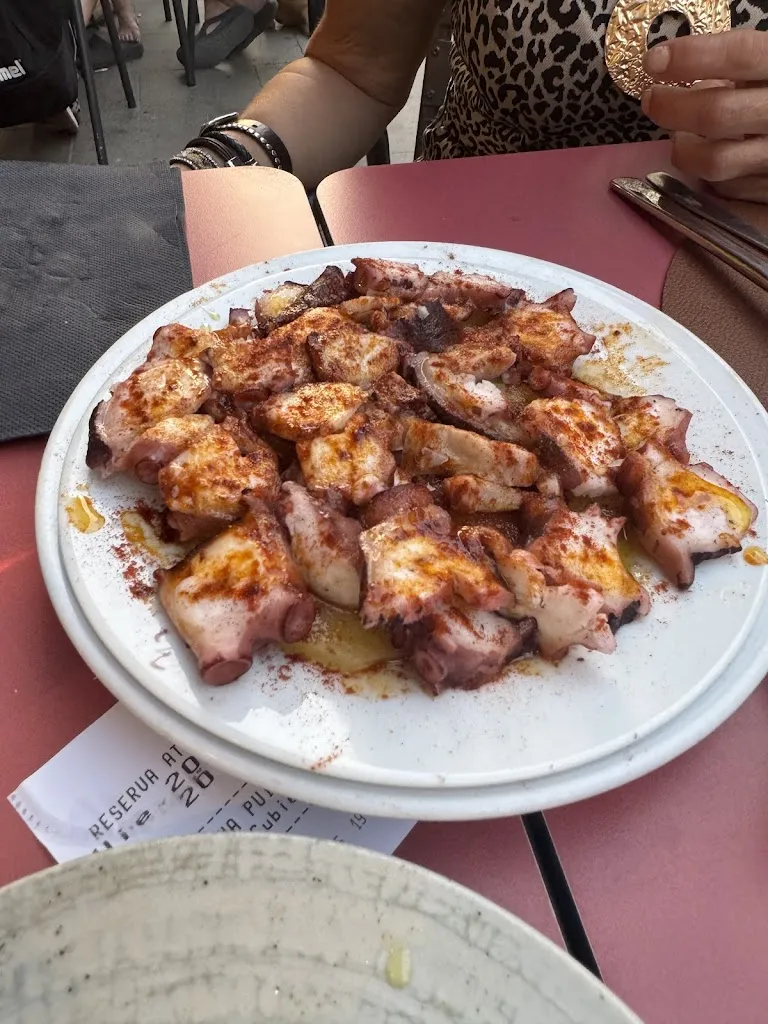 Ana P_EL MOS_Fogars de Montclús_review