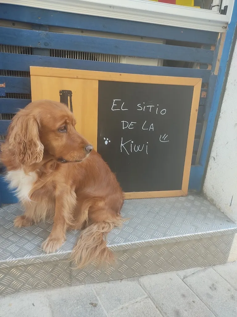 Saul Escudero_Vermuteria Carrer Major_Cubelles_review