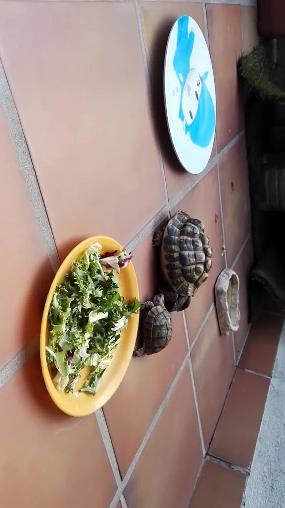 Mota's Frankfurt Cerveceria_Cubelles_slider_image_2