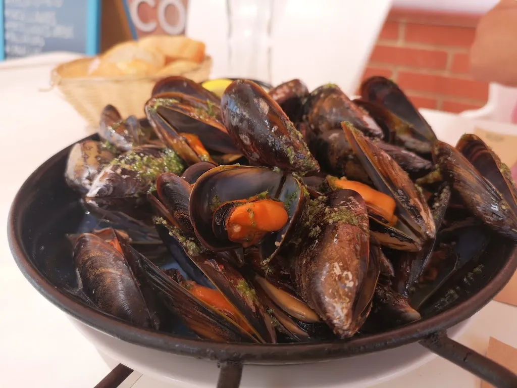 Menu_Perros cubelles_Cubelles_image_7