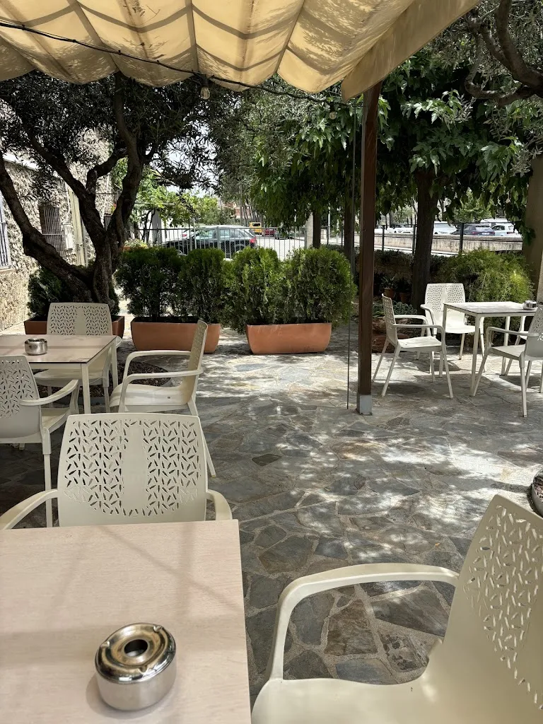 HELECHO AISLADO_Pedregà Restaurant_Franqueses del Vallès Les_review