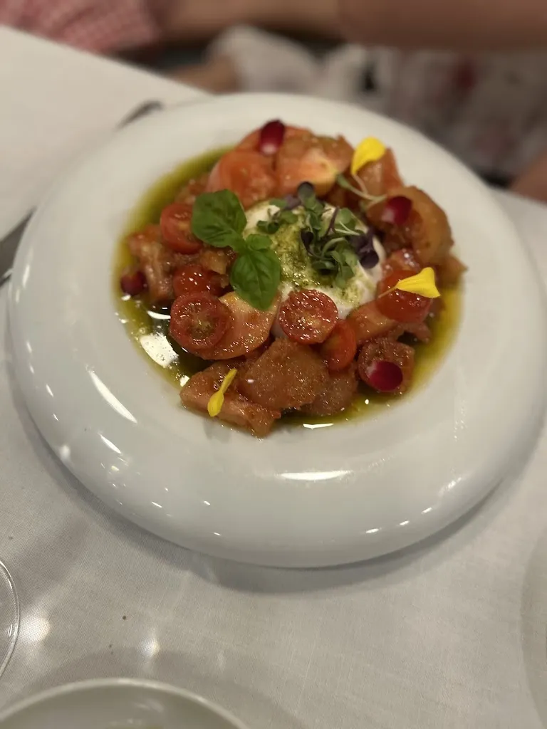 patrick scott_Olmo Madrid_Amés_review