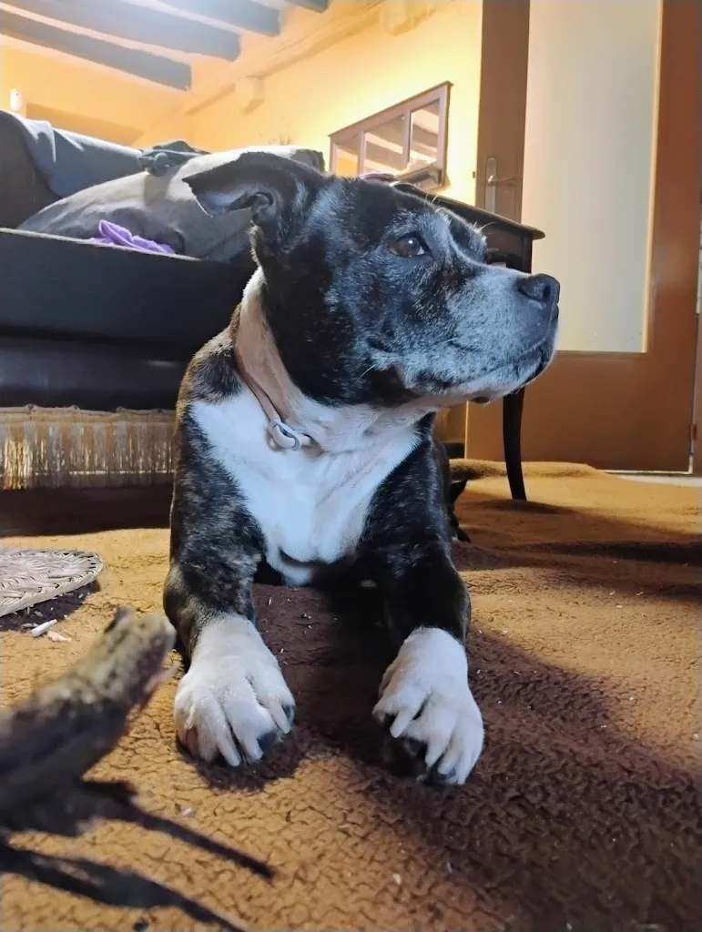 La NiÑa_The Anchor Malgrat_Malgrat de Mar_recensione