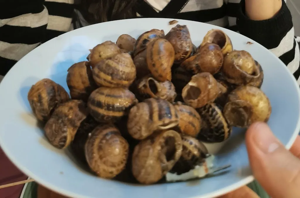 Andrew Cameron_El Carril 