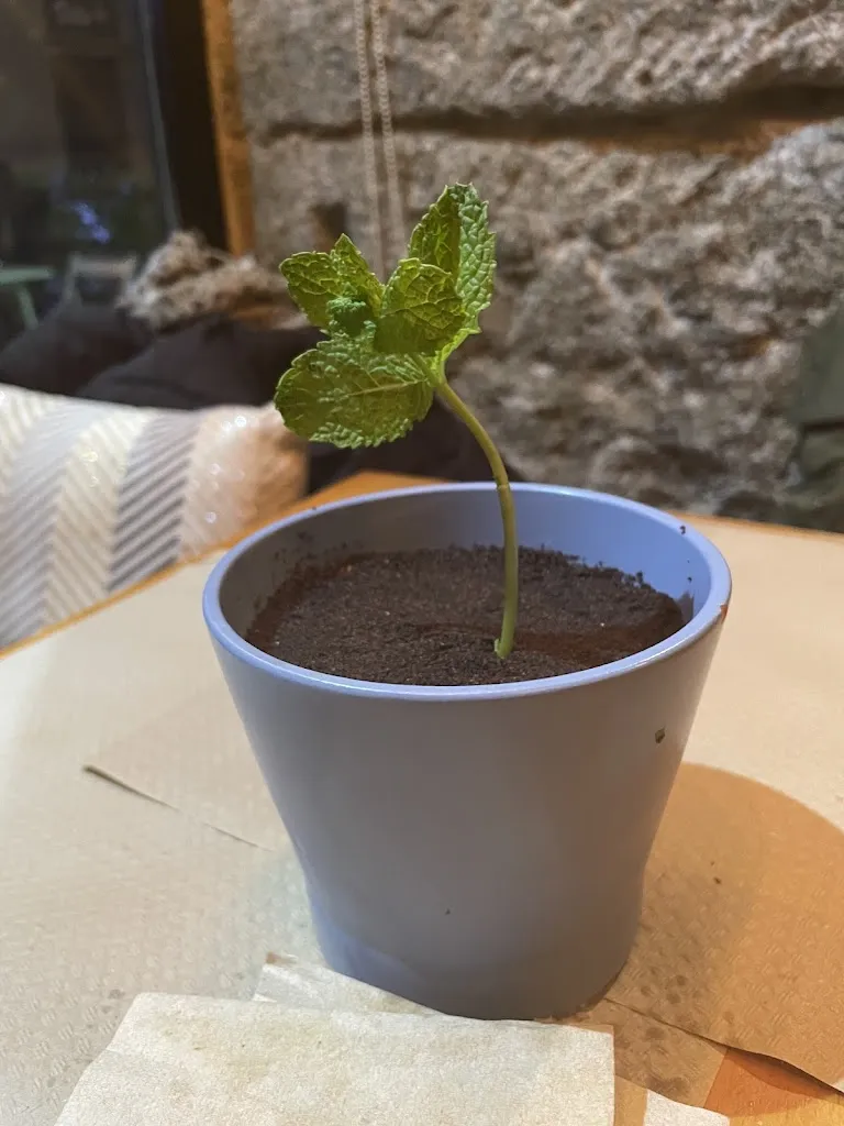 Menu_La Sifonería de Plaza de España_Amés_image_6