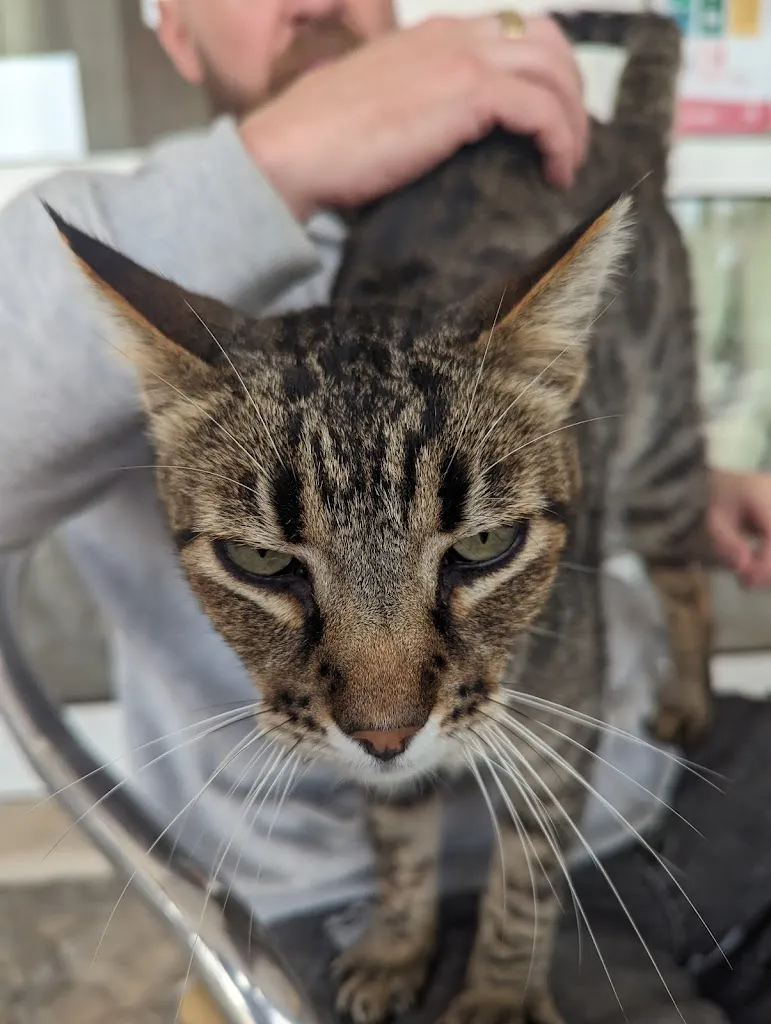 Jess Snowden_Praça Nova_Paderne_review