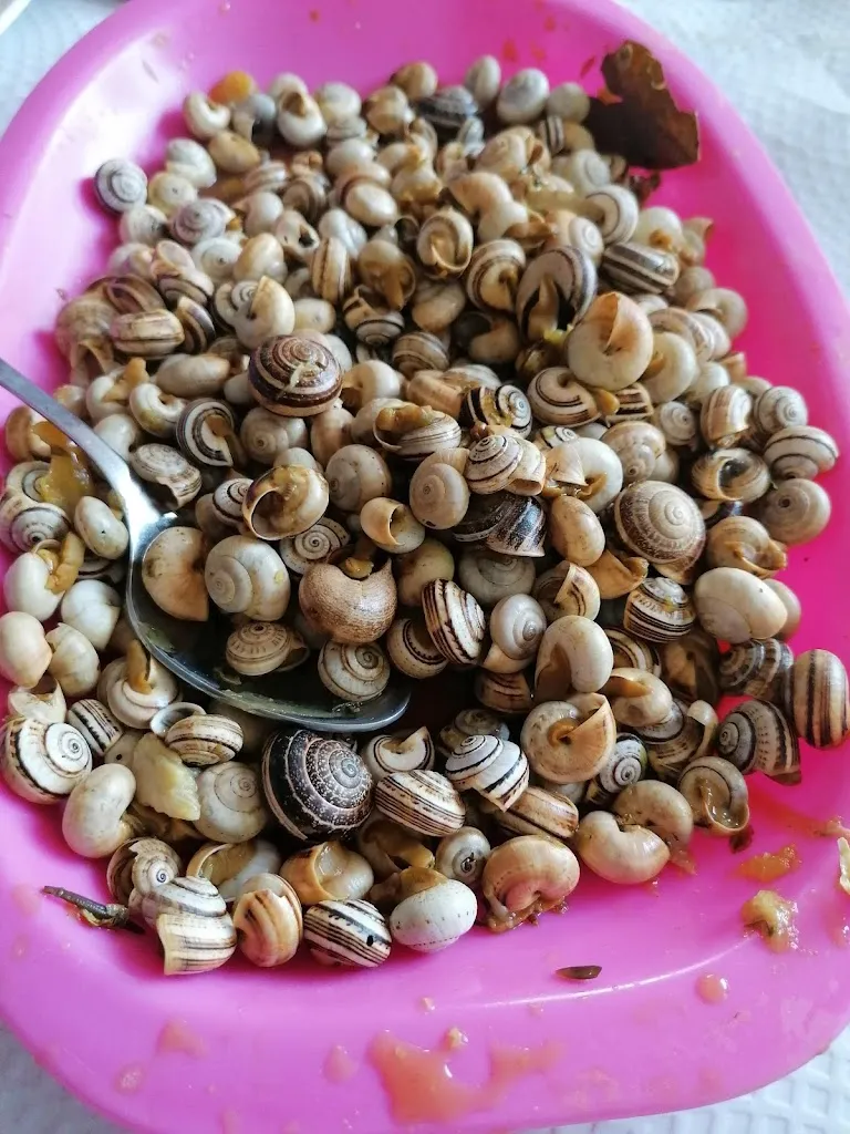 Campo de tiro de Paderne_Paderne_slider_image_1