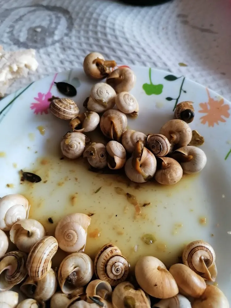 Campo de tiro de Paderne_Paderne_slider_image_2