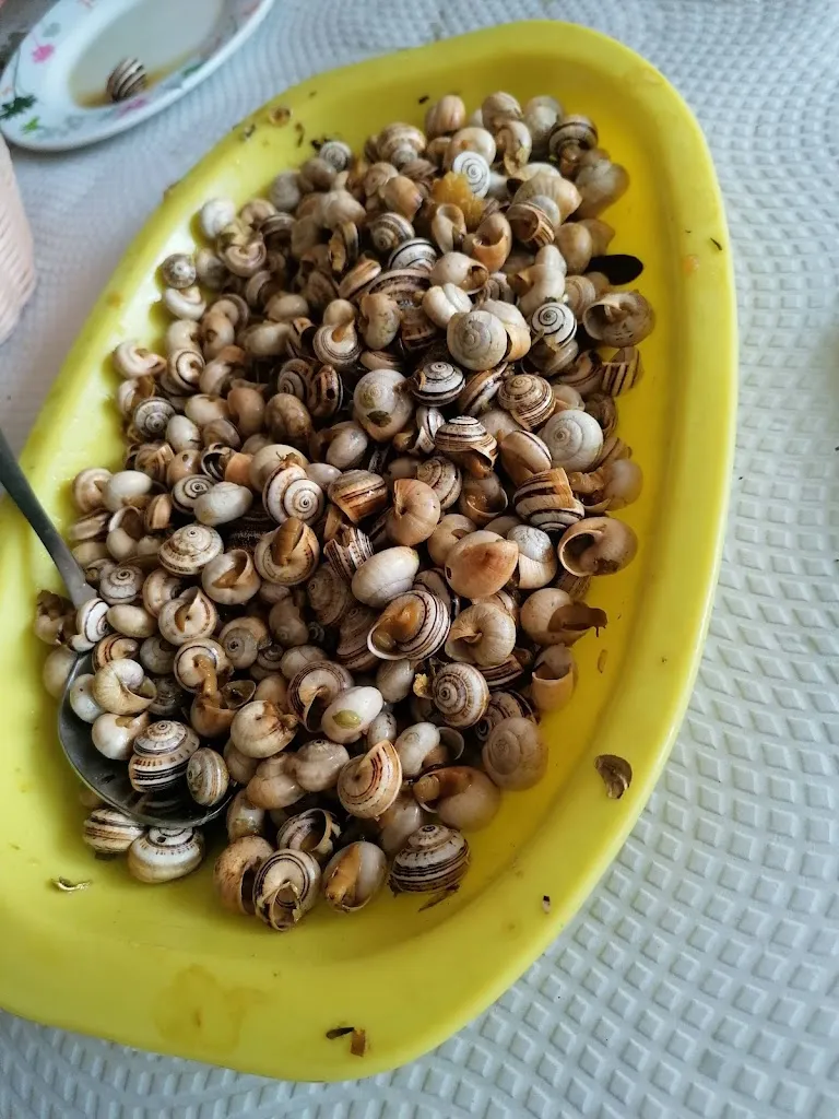 Campo de tiro de Paderne_Paderne_slider_image_3