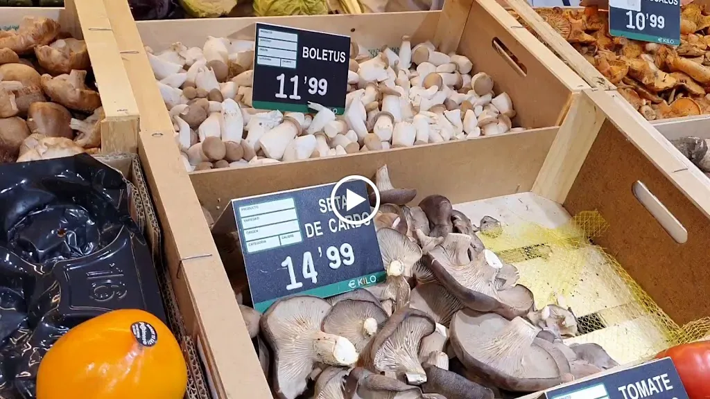 Monte Pinos Selección_Pino O_slider_image_2