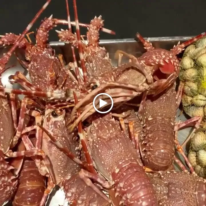 Cuadras restaurant_Igualada_slider_image_2