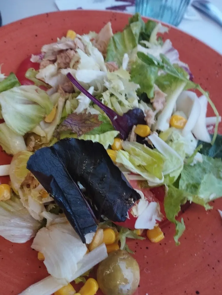 Menu_Bar Restaurant El Cenachero_Masies de Voltregà Les_image_3