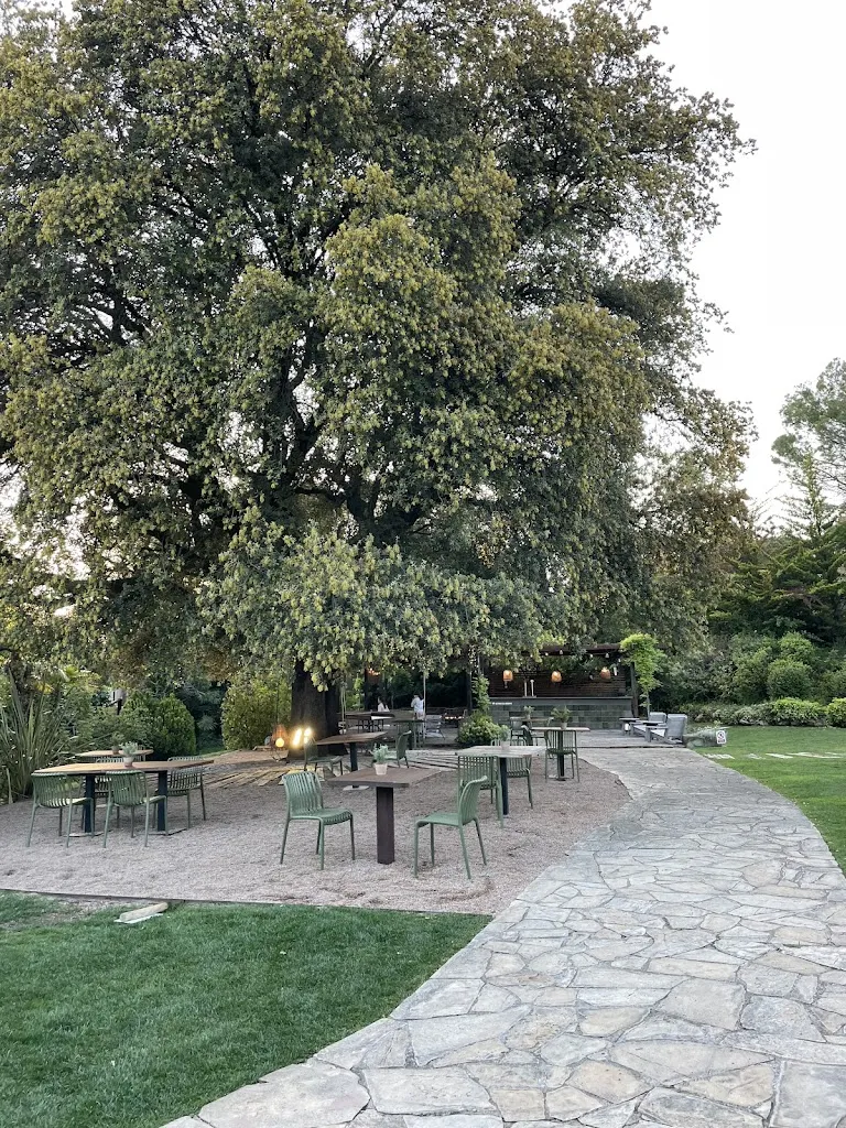 Lujzi_Can Solà Restaurant_Matadepera_review