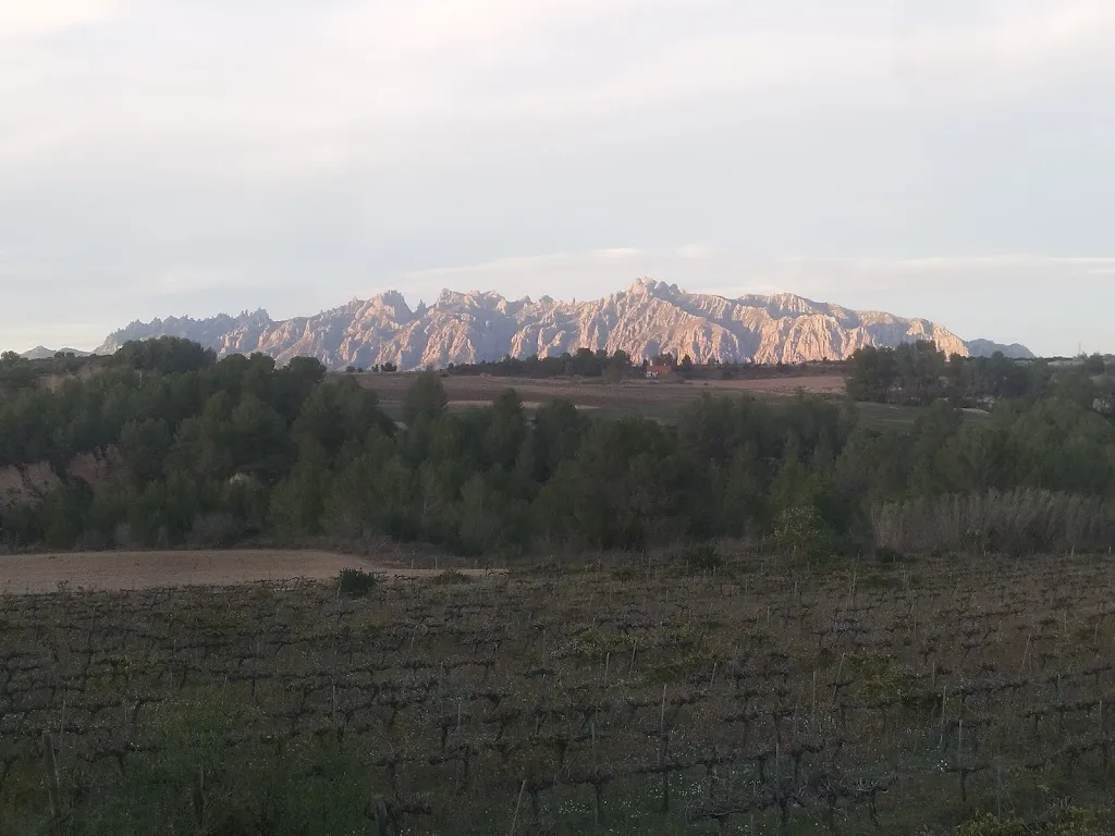 La Socia_Masquefa_slider_image_2