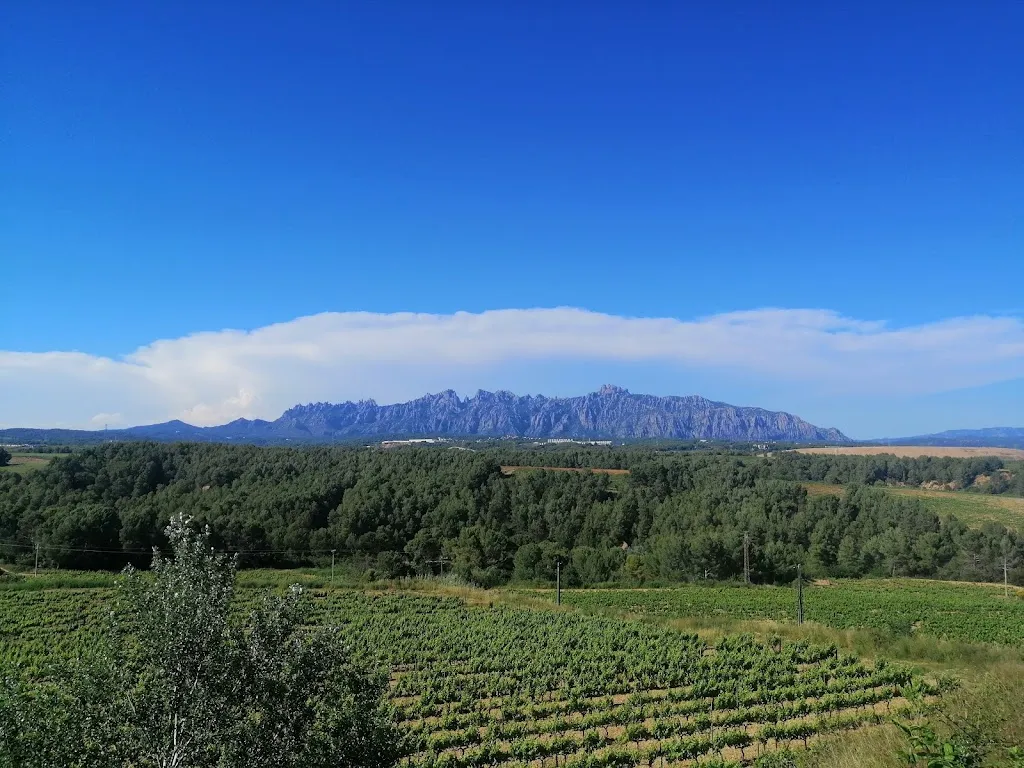 Can Bonastre Wine Resort_Masquefa_slider_image_3