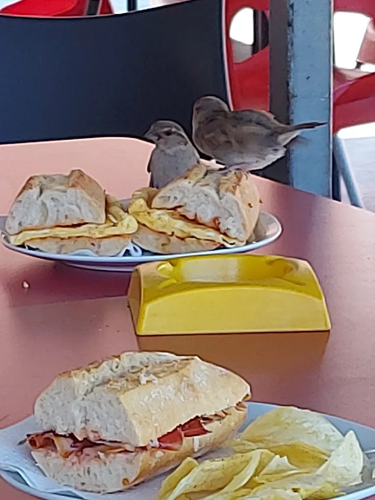 Menu_Bar La Piscina_Mediona_image_9