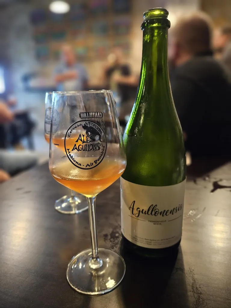 Masia Agullons_Mediona_slider_image_2