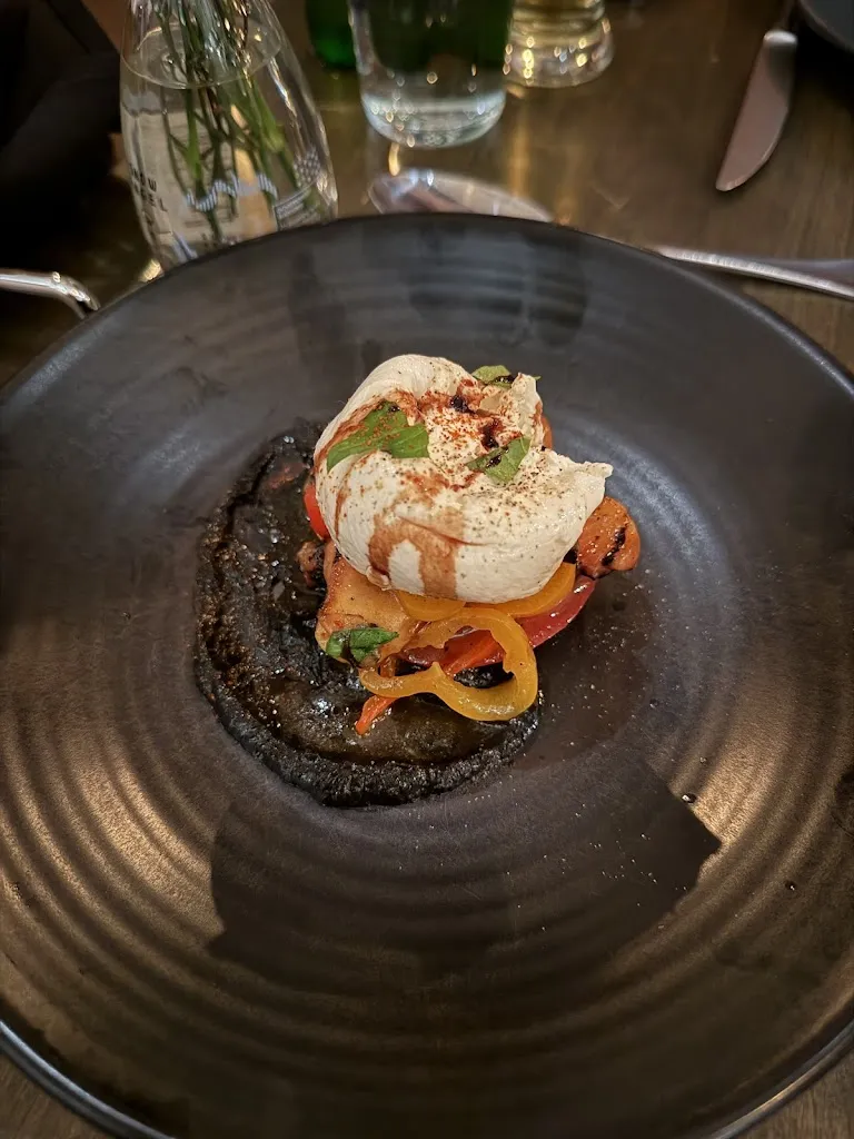 Stephen Grello_Turtle + the Wolf_Montclar_review