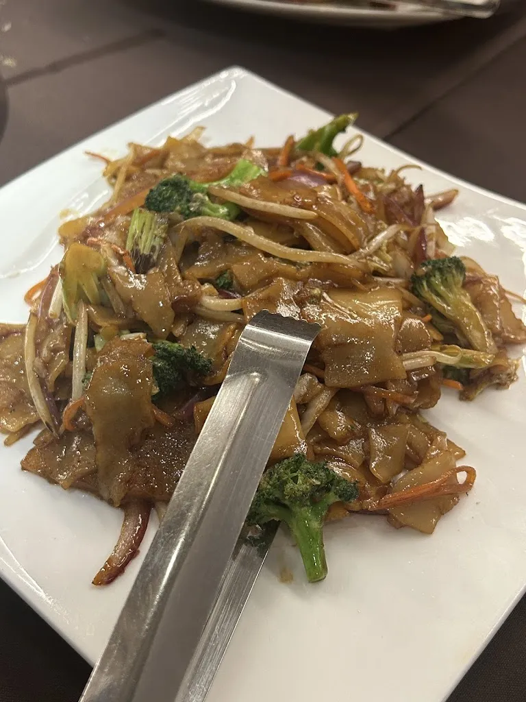 Kajal_Paper Lantern_Montclar_review