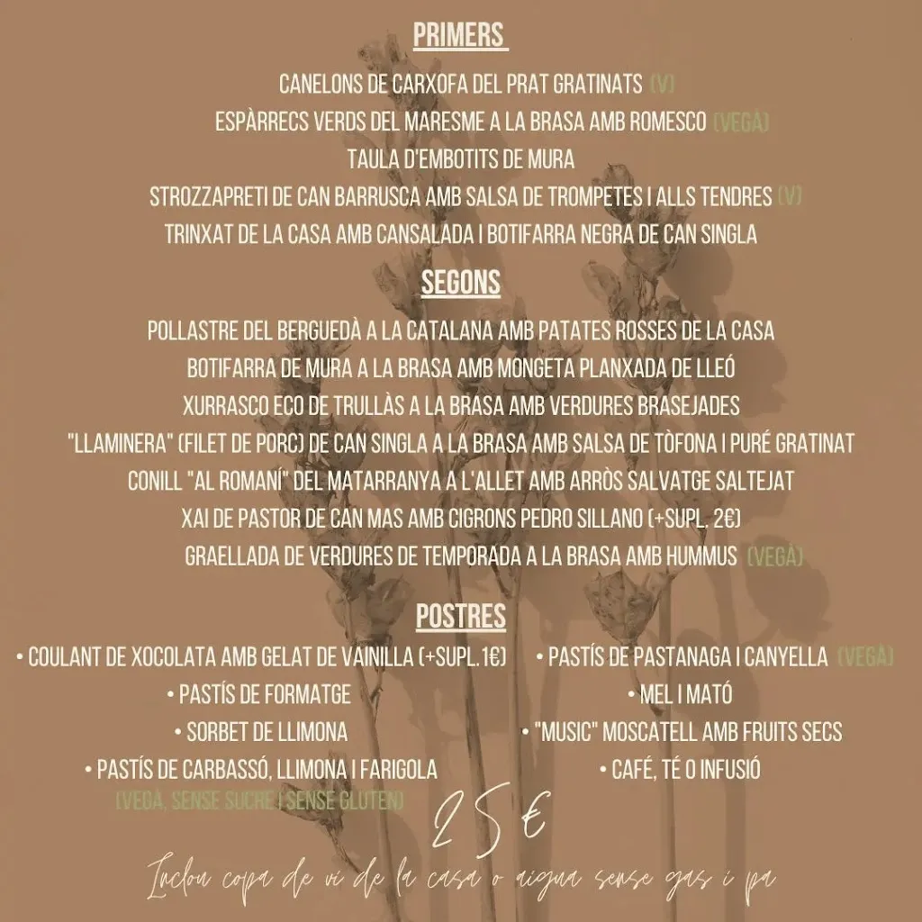 Menu_Les Olles dels Caus_Mura_immagine_3