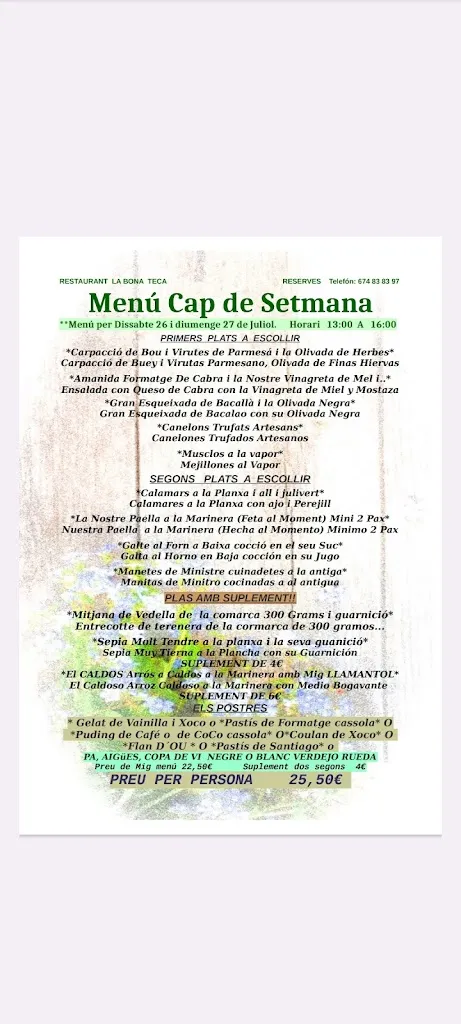 Menu_La Bona Teca_Montornès del Vallès_image_1
