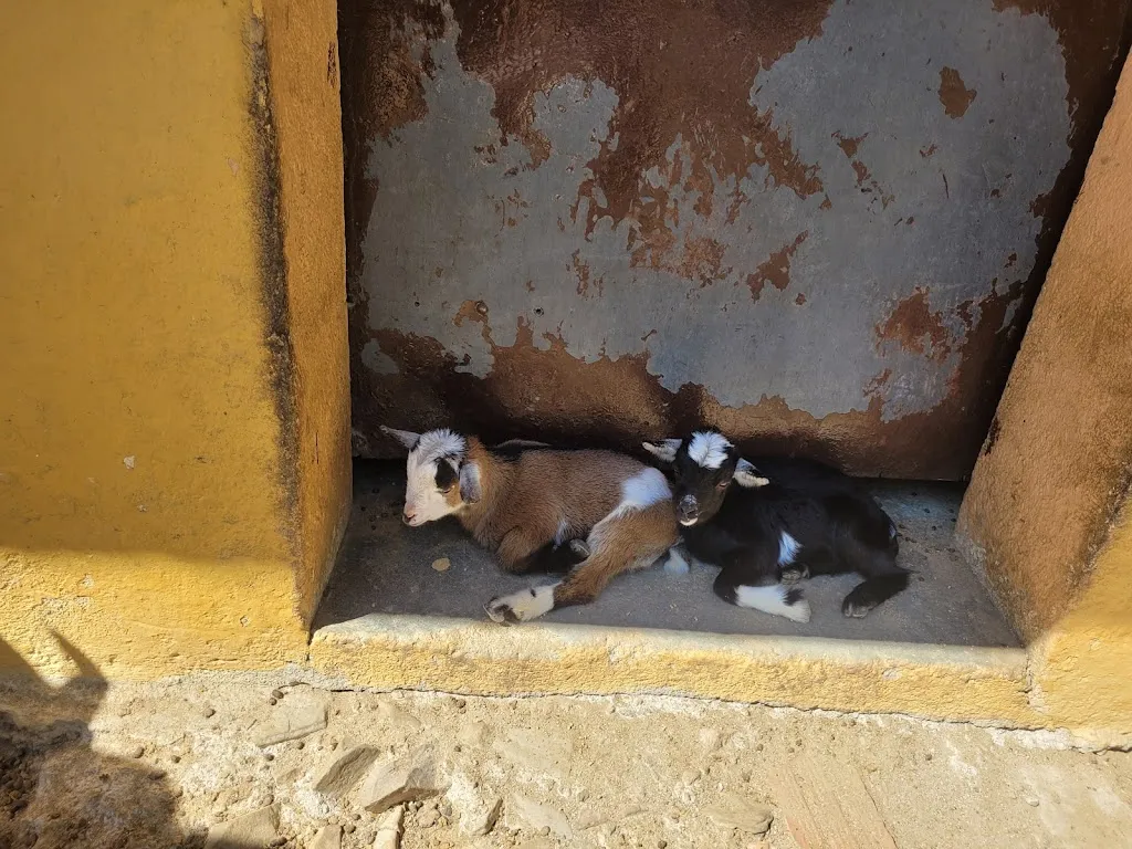 Natasha Simms_Masia Can Sala_Montornès del Vallès_recensione