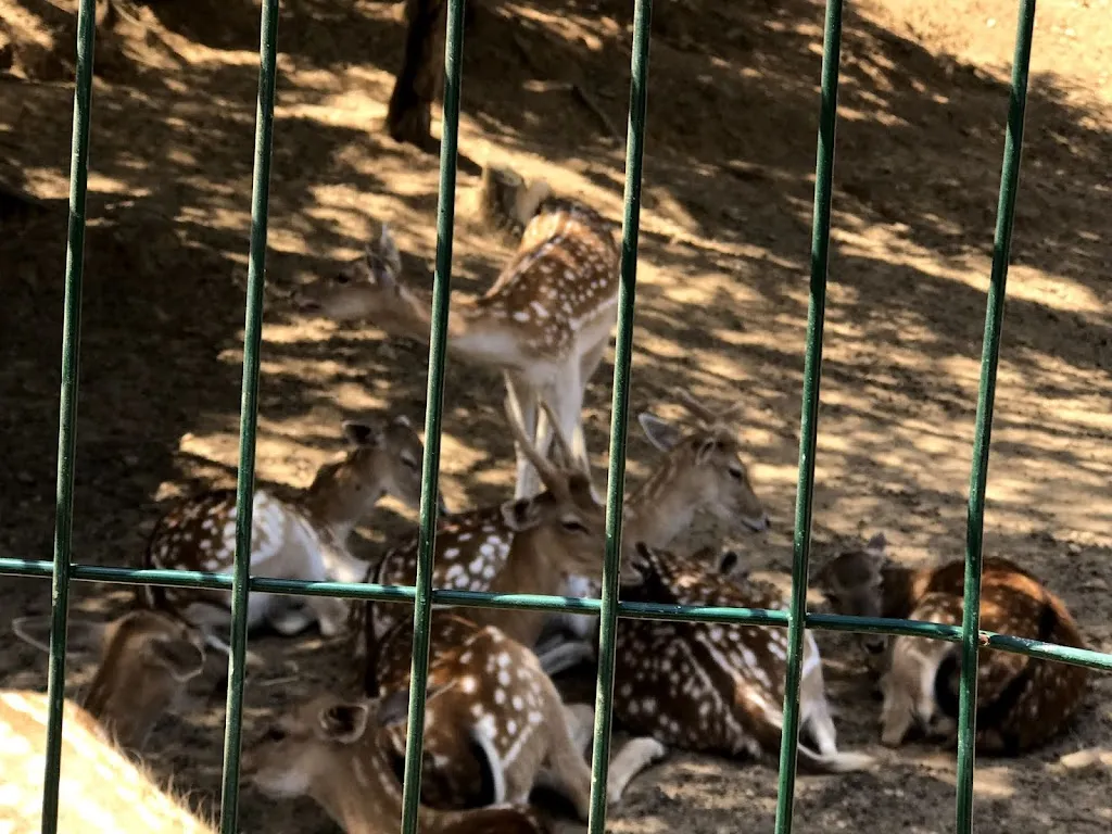 Marta R. Salvatella_Masia Can Sala_Montornès del Vallès_recensione