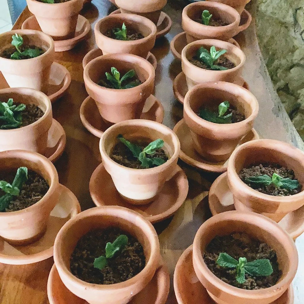 Menu_Restaurant Els Masovers,Savisan S.C.P._Montornès del Vallès_image_9