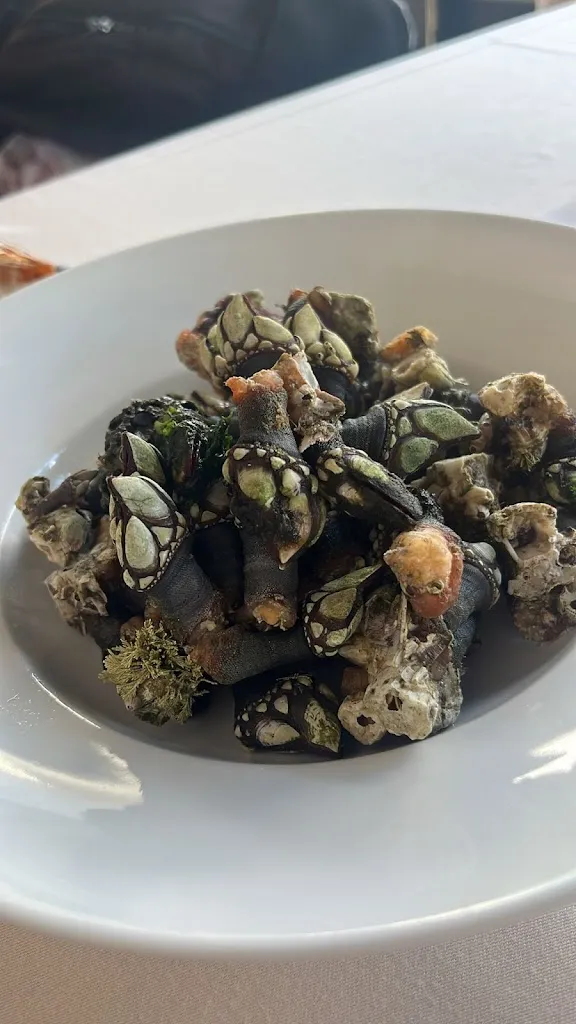 Diego rico masa_El Mirador del Madrileño_Oleiros_review