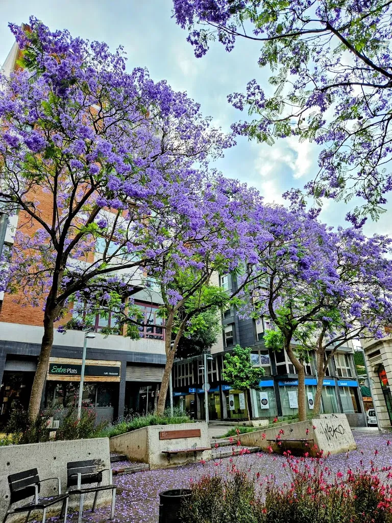 Restaurant Raconet_Molins de Rei_slider_image_3