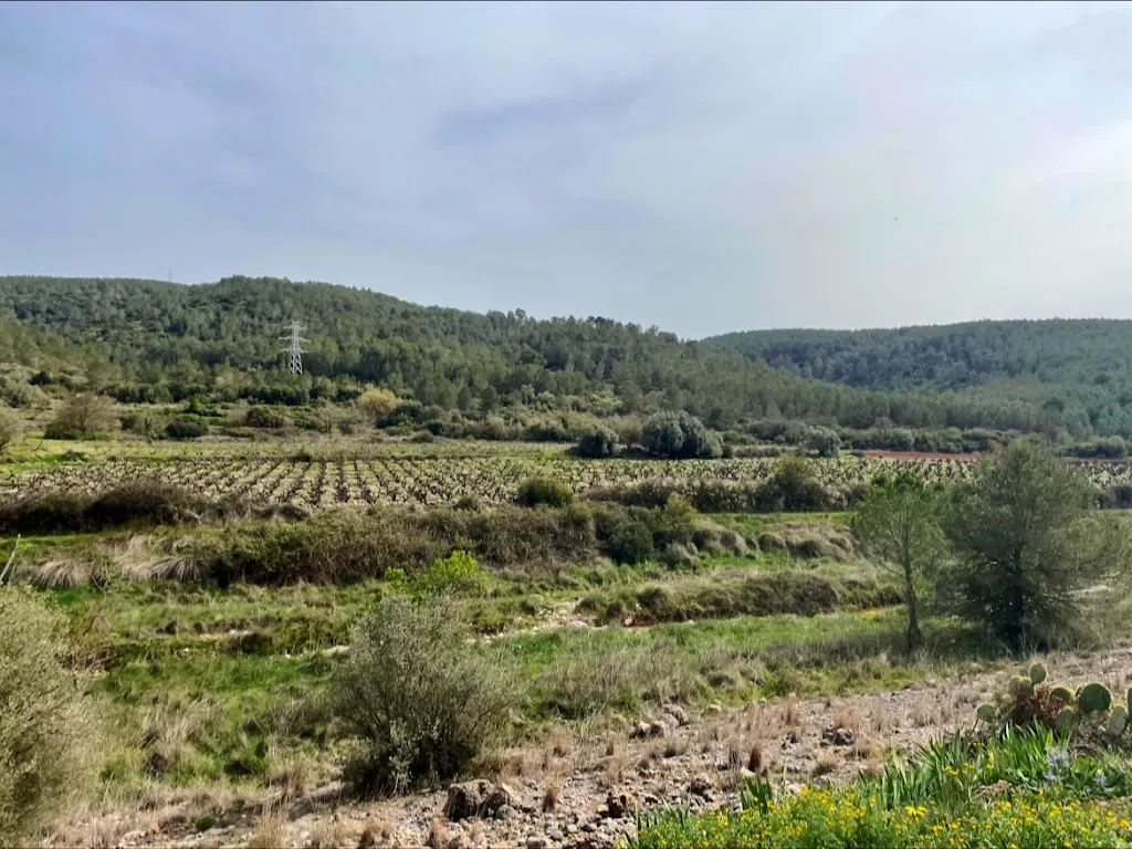 Liselotte Arts_Restaurant El Celler_Olesa de Bonesvalls_review