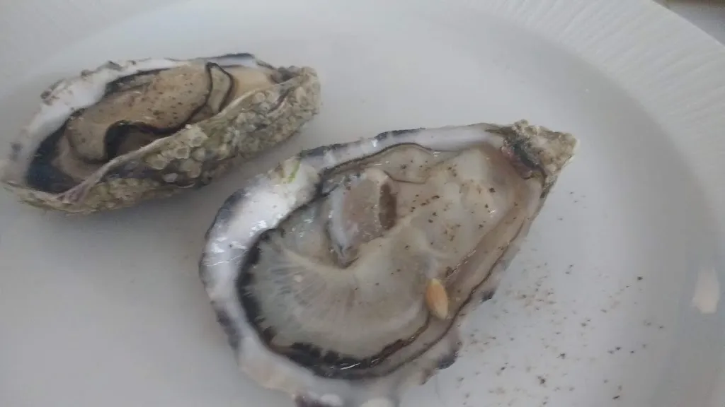 Menu_Restaurant Can Ladis_Navarcles_immagine_7