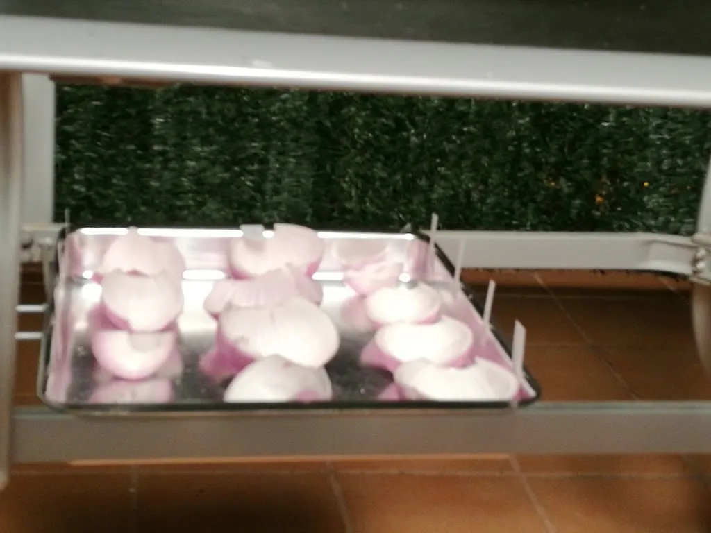 Menu_Restaurante Tip i Gamba_Navarcles_immagine_8