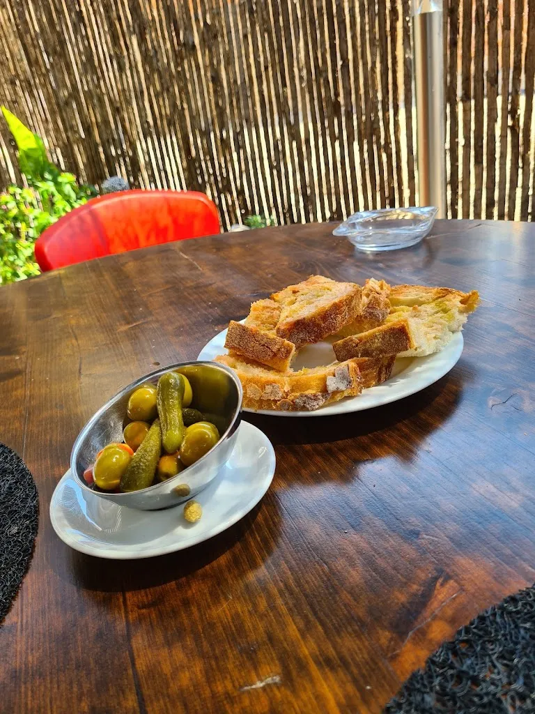 Hiram Fernandez_CALIU_Navarcles_review