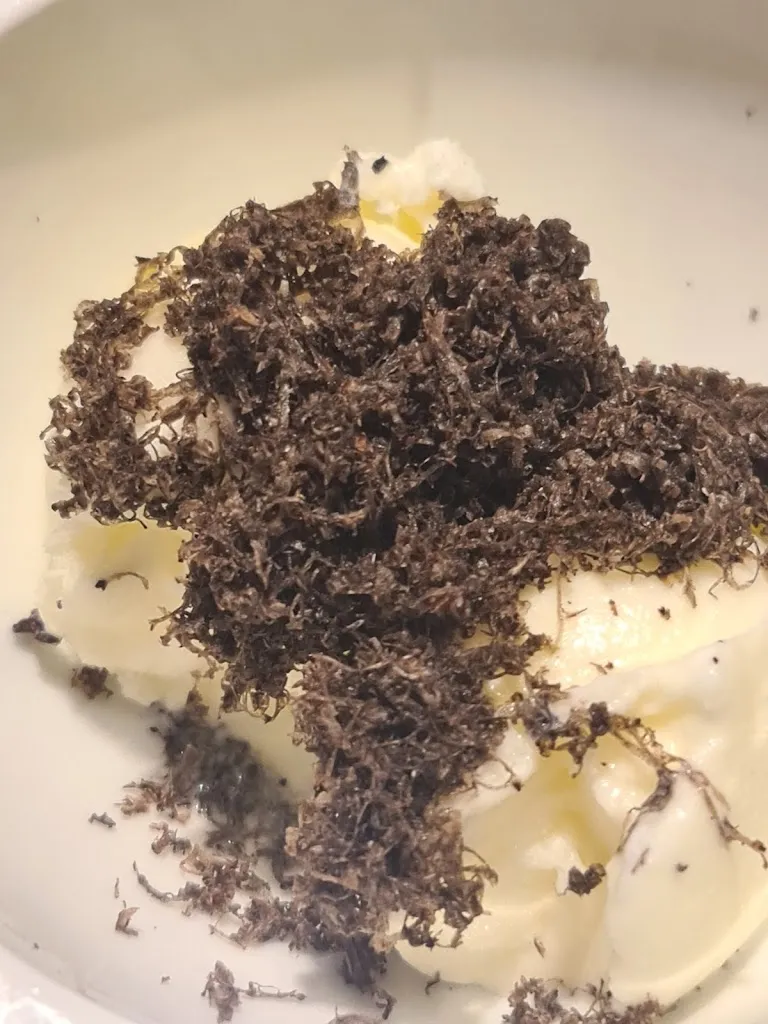 Jose Maria Dosta Punti_Restaurant Fonda Sala_Olost_review