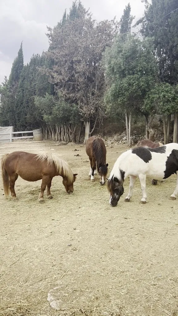 Kitty Soos_La Serreta restaurant_Olèrdola_recensione