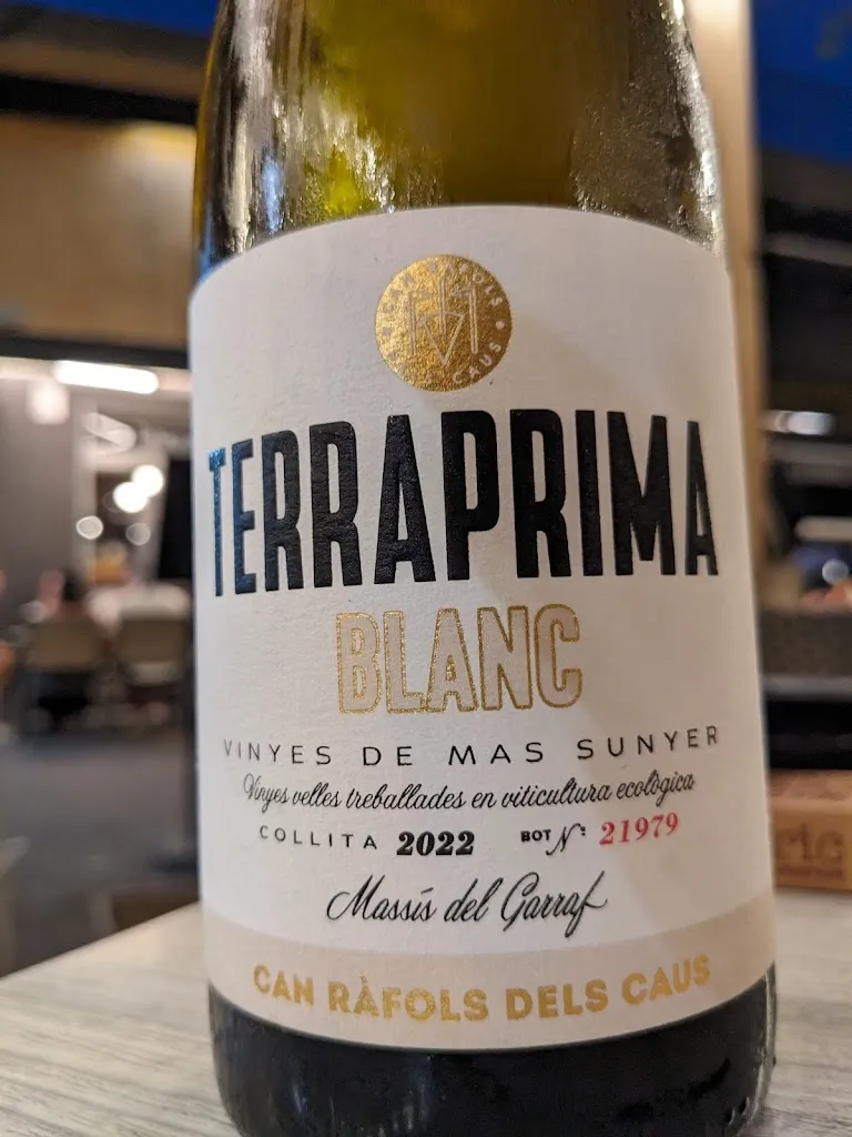 Alberto Santos_Cèntric Gastro-Bar_Olèrdola_review