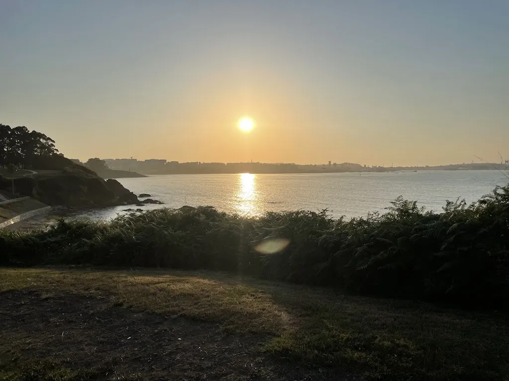 David Mckechnie_Vaiche Boa_Oleiros_review