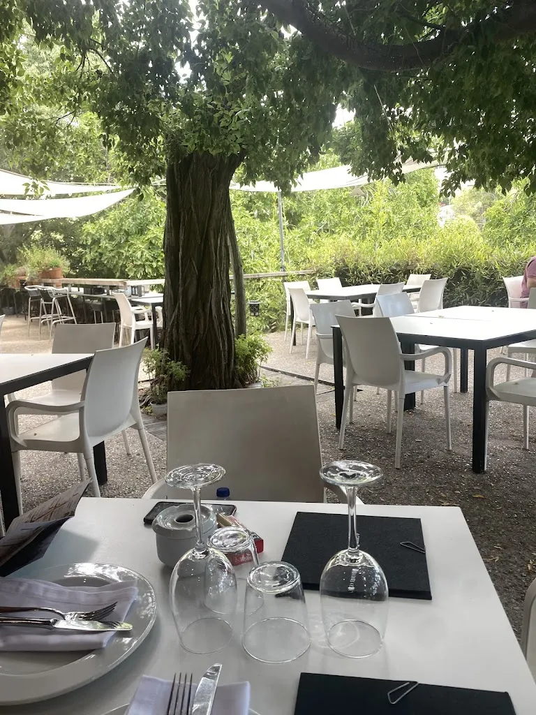 Francisco Jose Lopez Jimenez_4 CANYES restaurant_Papiol El_review