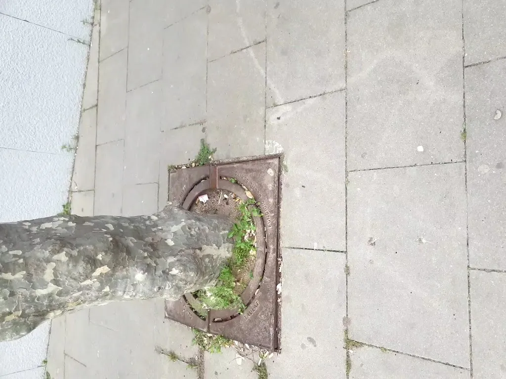 El Cafè de Palafolls_Palafolls_slider_image_2