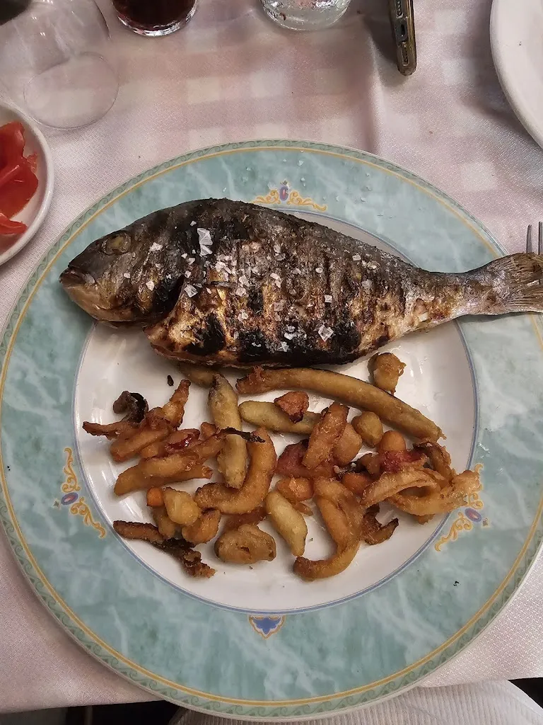 Alexandre Gld_Masia Gibert_Palafolls_review