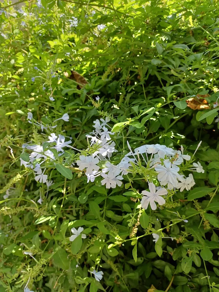 Ca L'estevenet ristorante a Palafolls