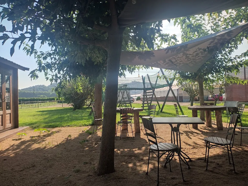 Espai rural cuina #hortaplademunt_Palafolls_slider_image_3