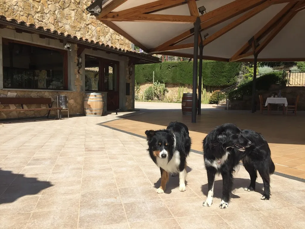 Tania Sanchez_Can Piqué_Montcada i Reixac_review