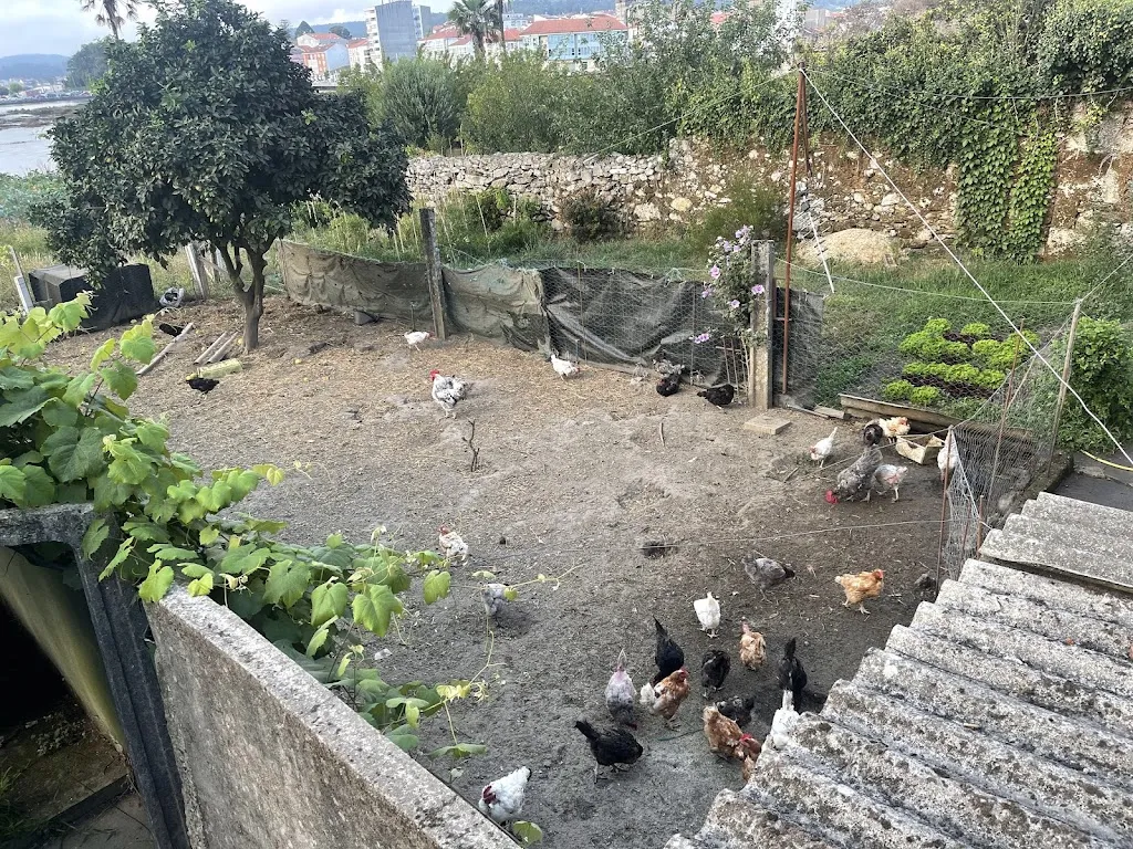 Alexander Fahn-Womack_Parrillada ALBOMAR_Noia_Bewertung