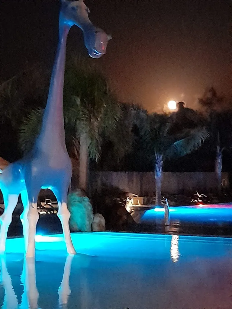 Mollie Hughes_Restaurant Els Prats Village Beach & Camping Park _Prats de Rei Els_review