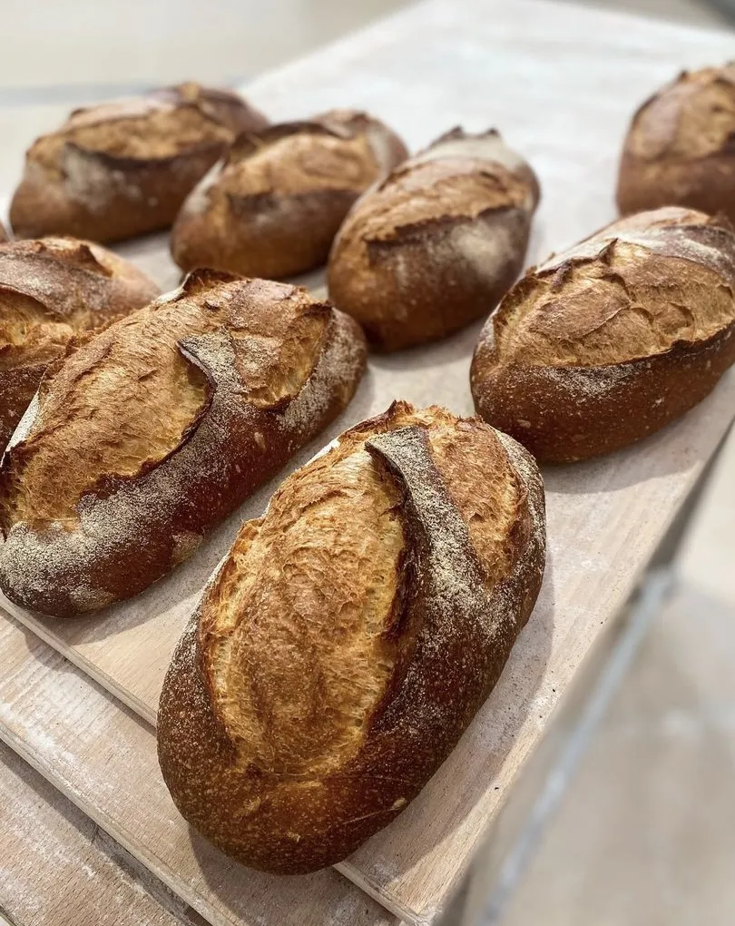 Menu_El Bon Gust_Prats de Lluçanès_image_4